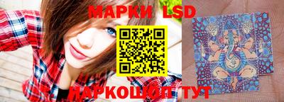 ПСИЛОЦИБИНОВЫЕ ГРИБЫ Заволжье