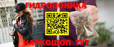 СК Жуковский